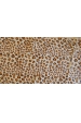 Obrázok pre Šatka s leopardím vzorom